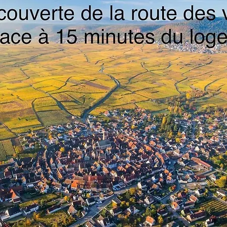 Duplex Confort, 2 Min De Colmar, Parking Gratuit Horbourg