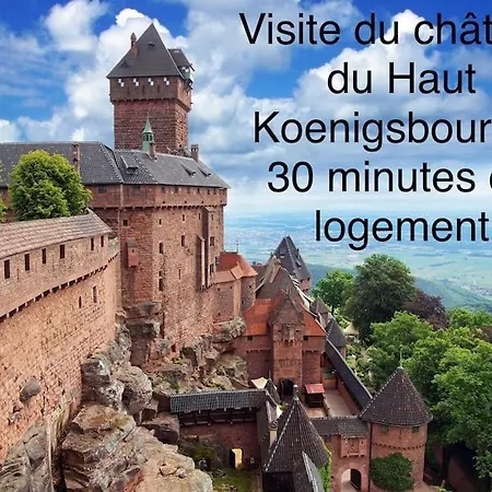 Duplex Confort, 2 Min De Colmar, Parking Gratuit Apartment Horbourg