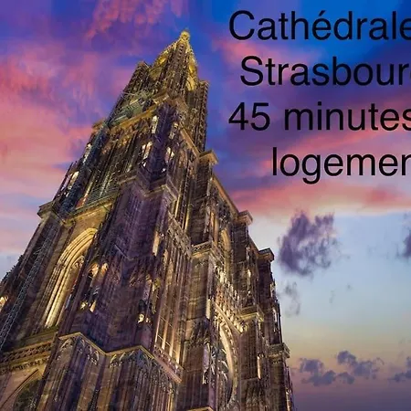 Duplex Confort, 2 Min De Colmar, Parking Gratuit * Horbourg