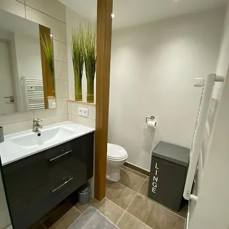 Duplex Confort, 2 Min De Colmar, Parking Gratuit Apartment Horbourg