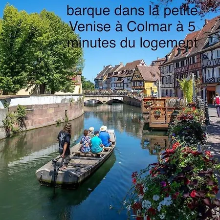 Apartment Duplex Confort, 2 Min De Colmar, Parking Gratuit