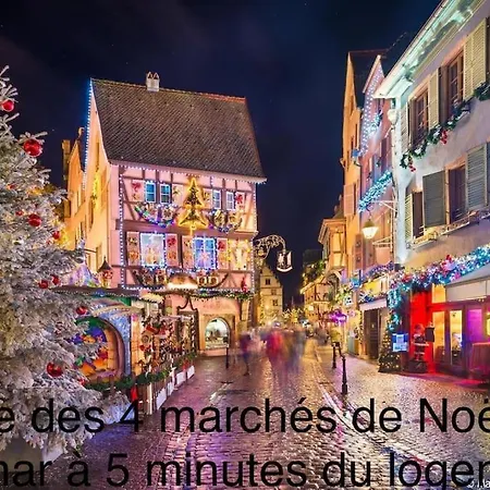 Duplex Confort, 2 Min De Colmar, Parking Gratuit *