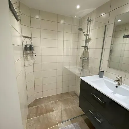 Duplex Confort, 2 Min De Colmar, Parking Gratuit * Horbourg