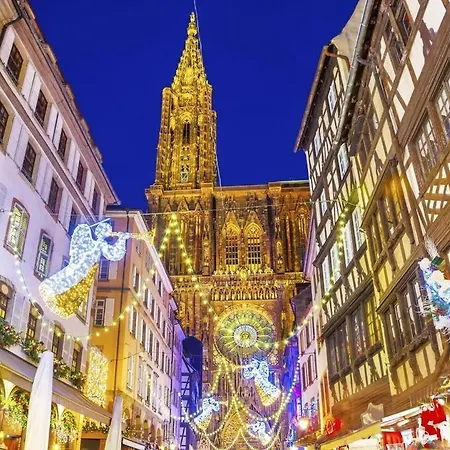 Duplex Confort, 2 Min De Colmar, Parking Gratuit Horbourg