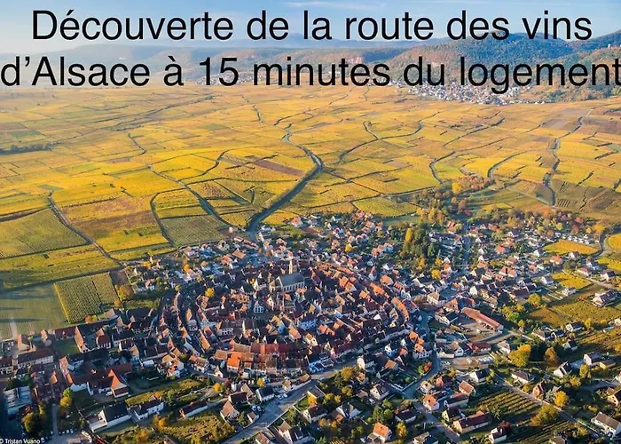 Duplex Confort, 2 Min De Colmar, Parking Gratuit Horbourg