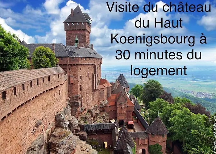 Duplex Confort, 2 Min De Colmar, Parking Gratuit شقة Horbourg