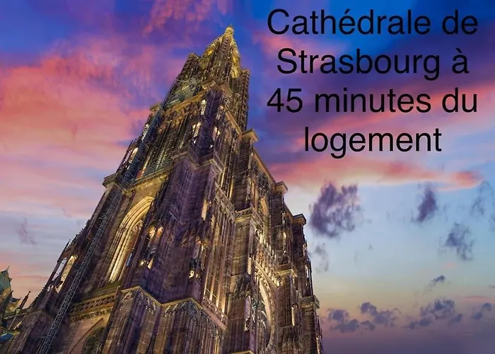 Duplex Confort, 2 Min De Colmar, Parking Gratuit * Horbourg