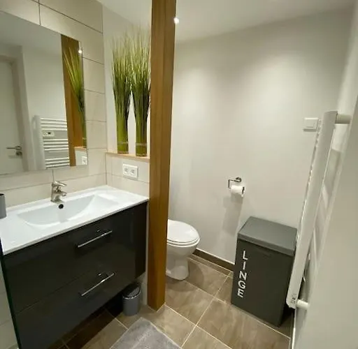 Duplex Confort, 2 Min De Colmar, Parking Gratuit شقة Horbourg