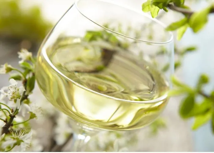 شقة Duplex Confort, 2 Min De Colmar, Parking Gratuit Horbourg