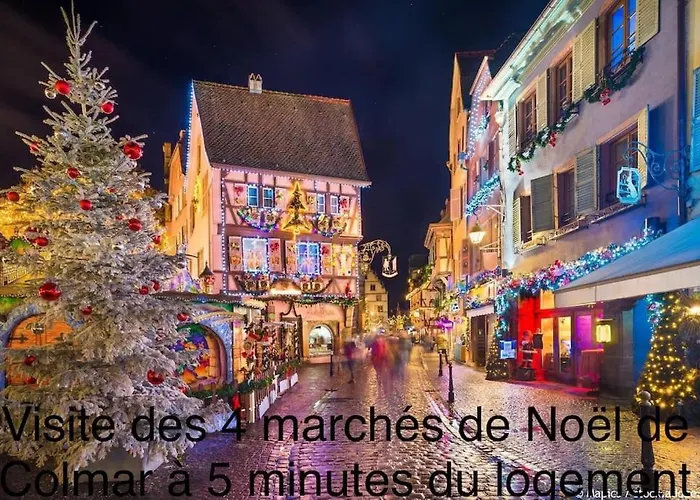 Duplex Confort, 2 Min De Colmar, Parking Gratuit *